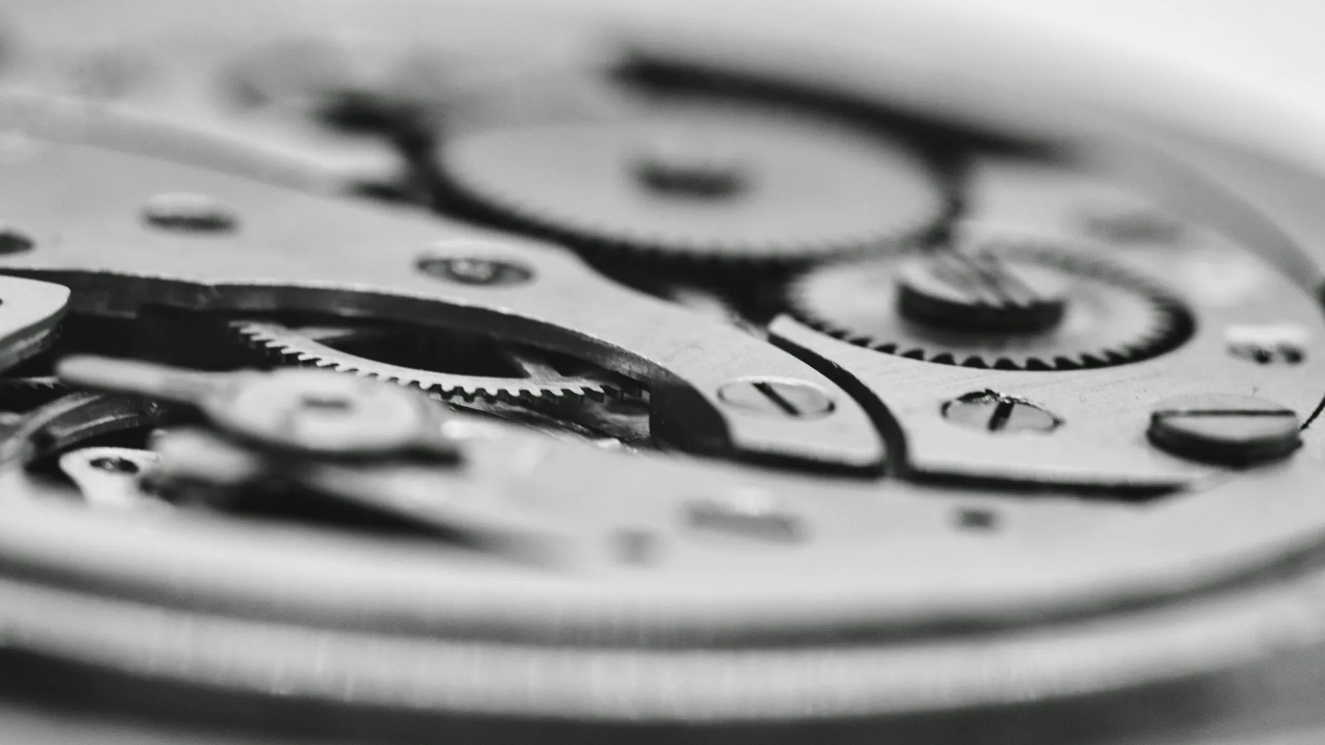 Rolex materials explained